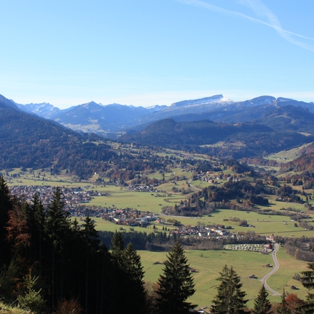 Hundetreffen 2011 im Allgäu (2)